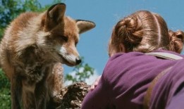 狐狸和我在线观看,一场跨越物种的深情邂逅